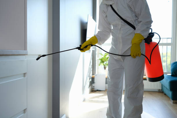 Best Affordable Mold Removal  in Nevada, IA