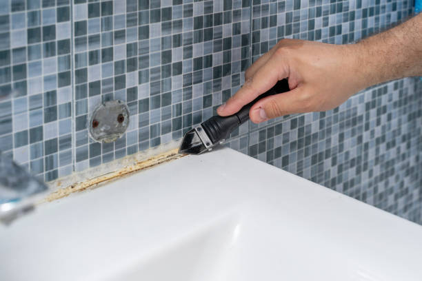 Best Water Damage Restoration  in Nevada, IA